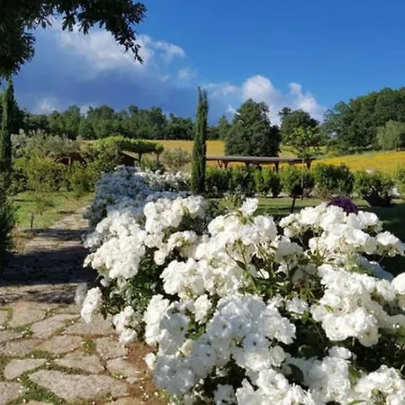 Villa Countryside Maremma Murci