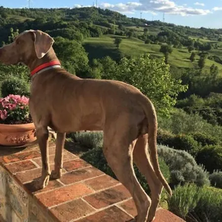 Villa Countryside Maremma